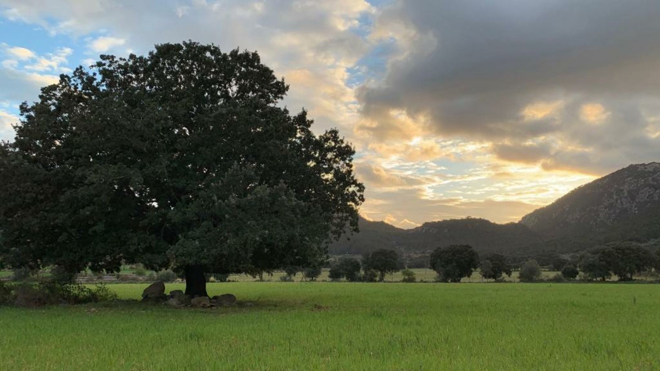 Finca Hotel Son Palou