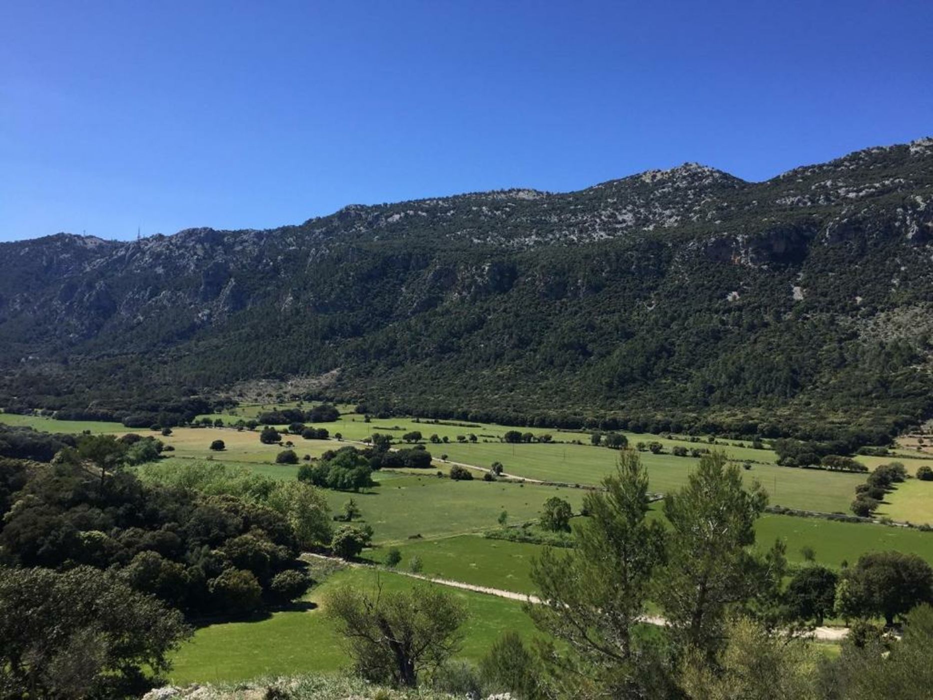 Finca Hotel Son Palou