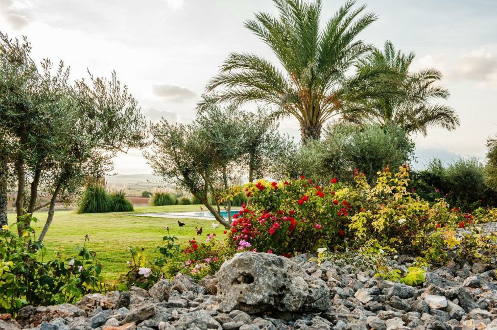 Hotel Sa Franquesa Nova