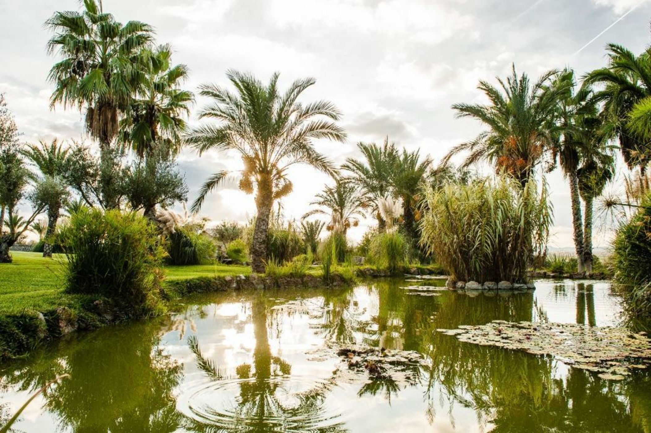 Hotel Sa Franquesa Nova