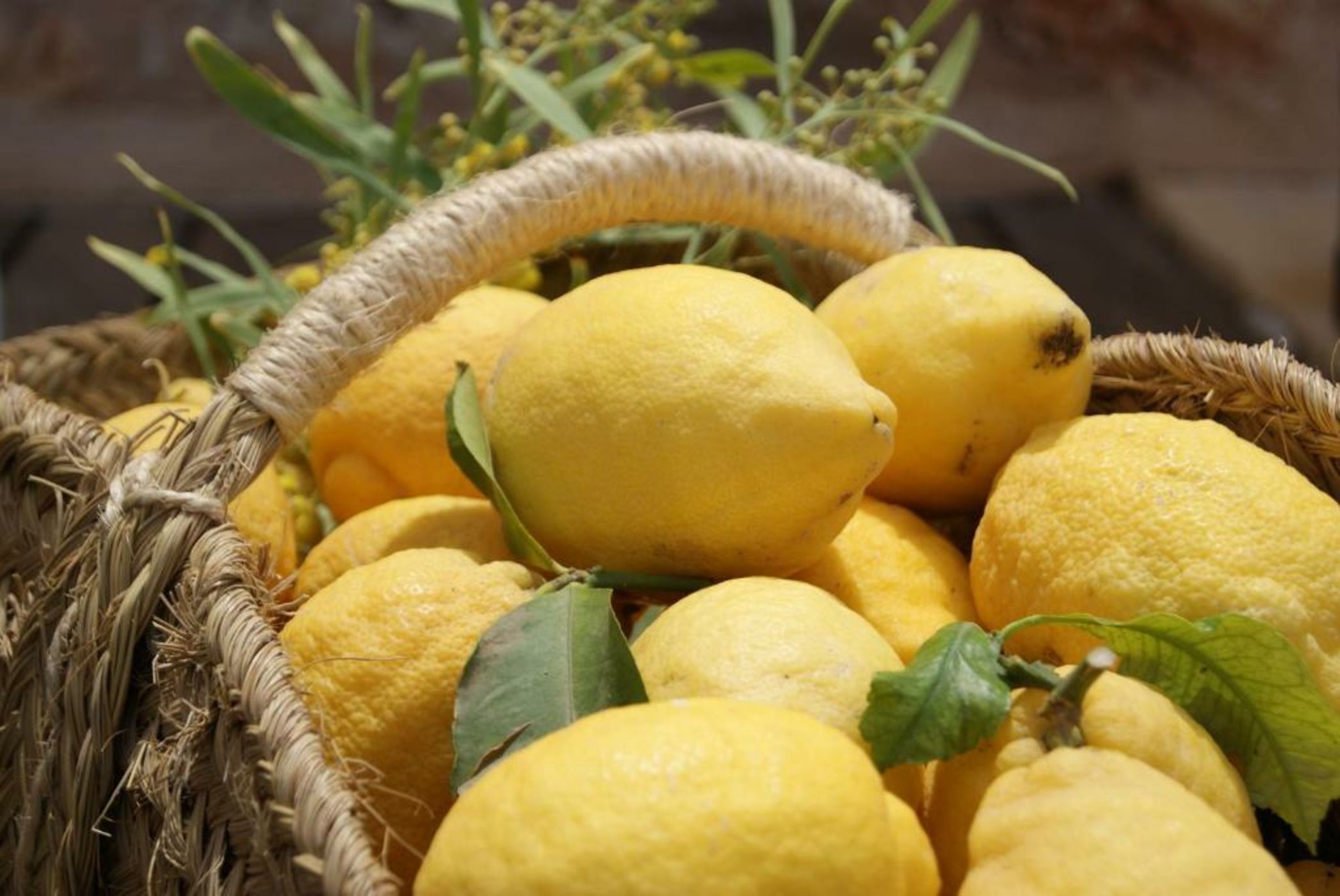 Hotel Sa Franquesa Nova