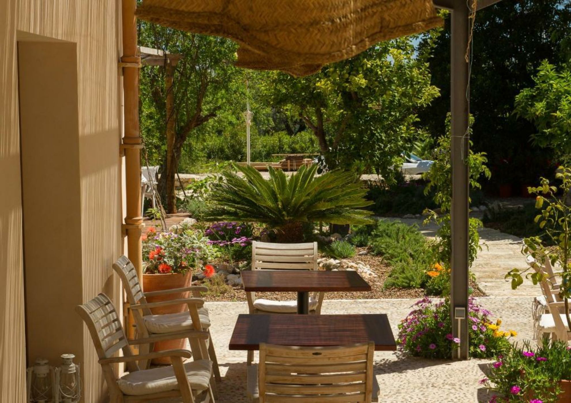 Home Hotel The Pink Pepper Tree