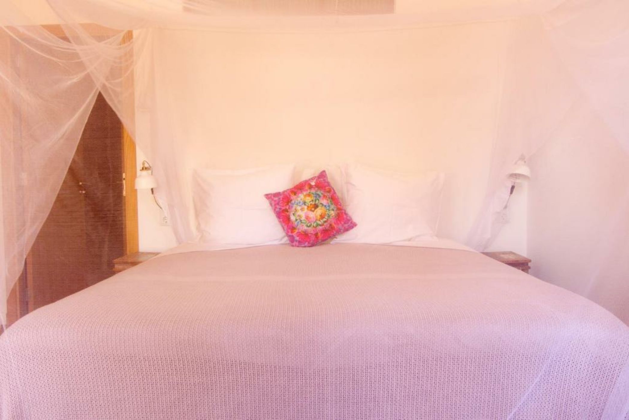 Home Hotel The Pink Pepper Tree