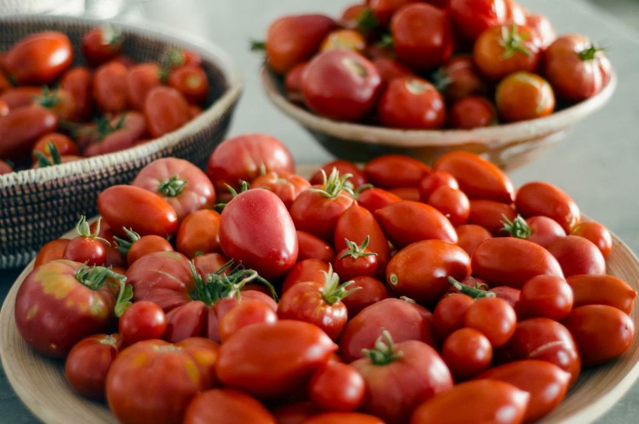 Home Hotel The Pink Pepper Tree