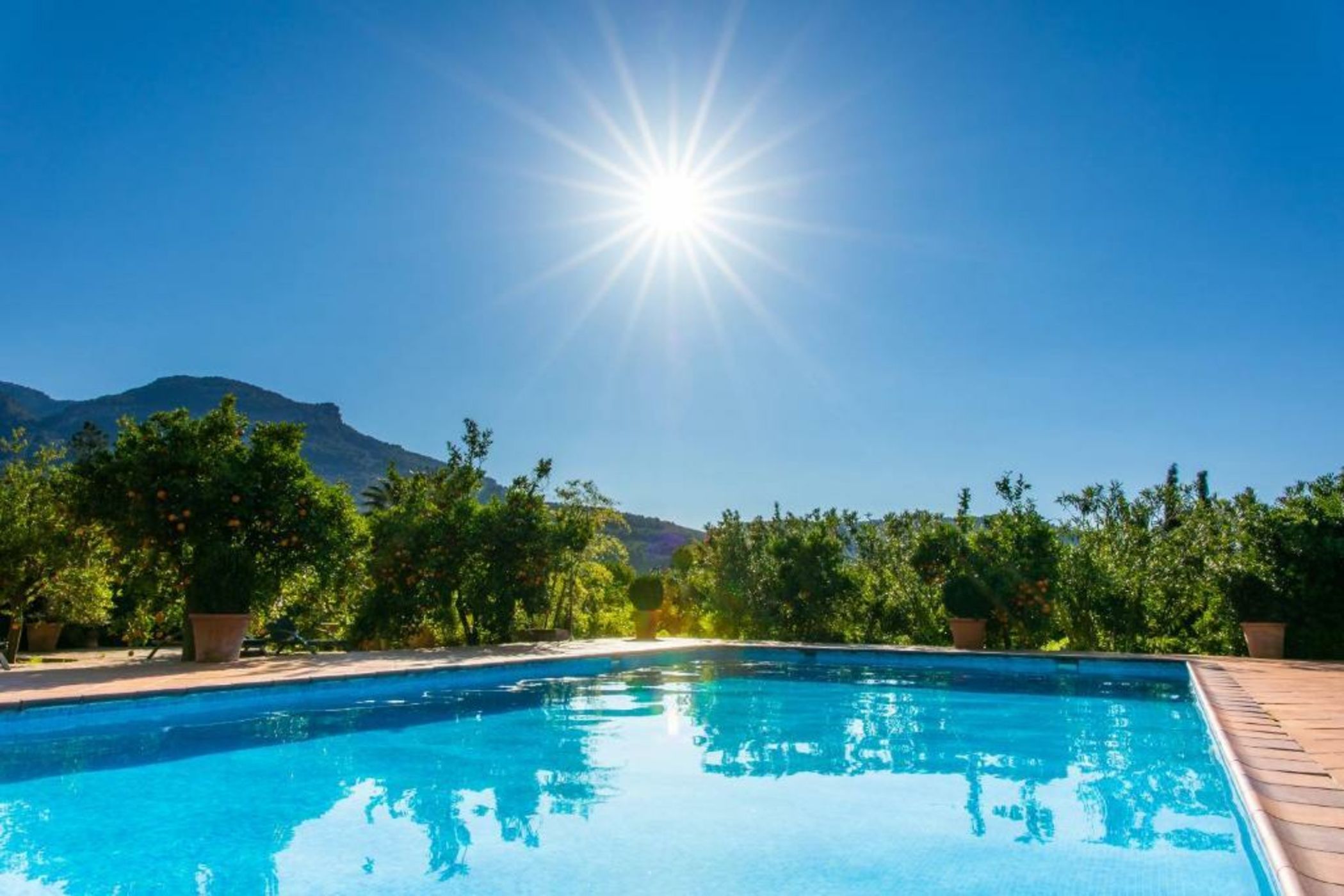 Finca Ca's Curial - Agroturismo - Adults Only