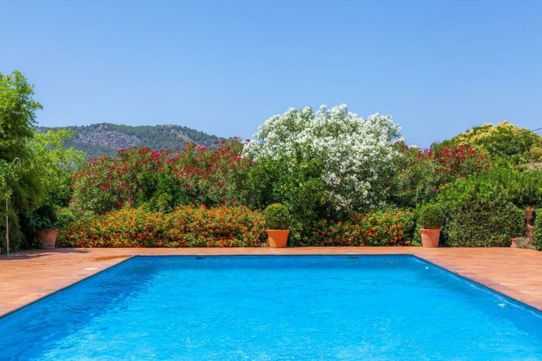 Finca Ca's Curial - Agroturismo - Adults Only