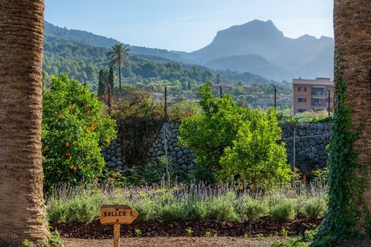 Finca Ca's Curial - Agroturismo - Adults Only