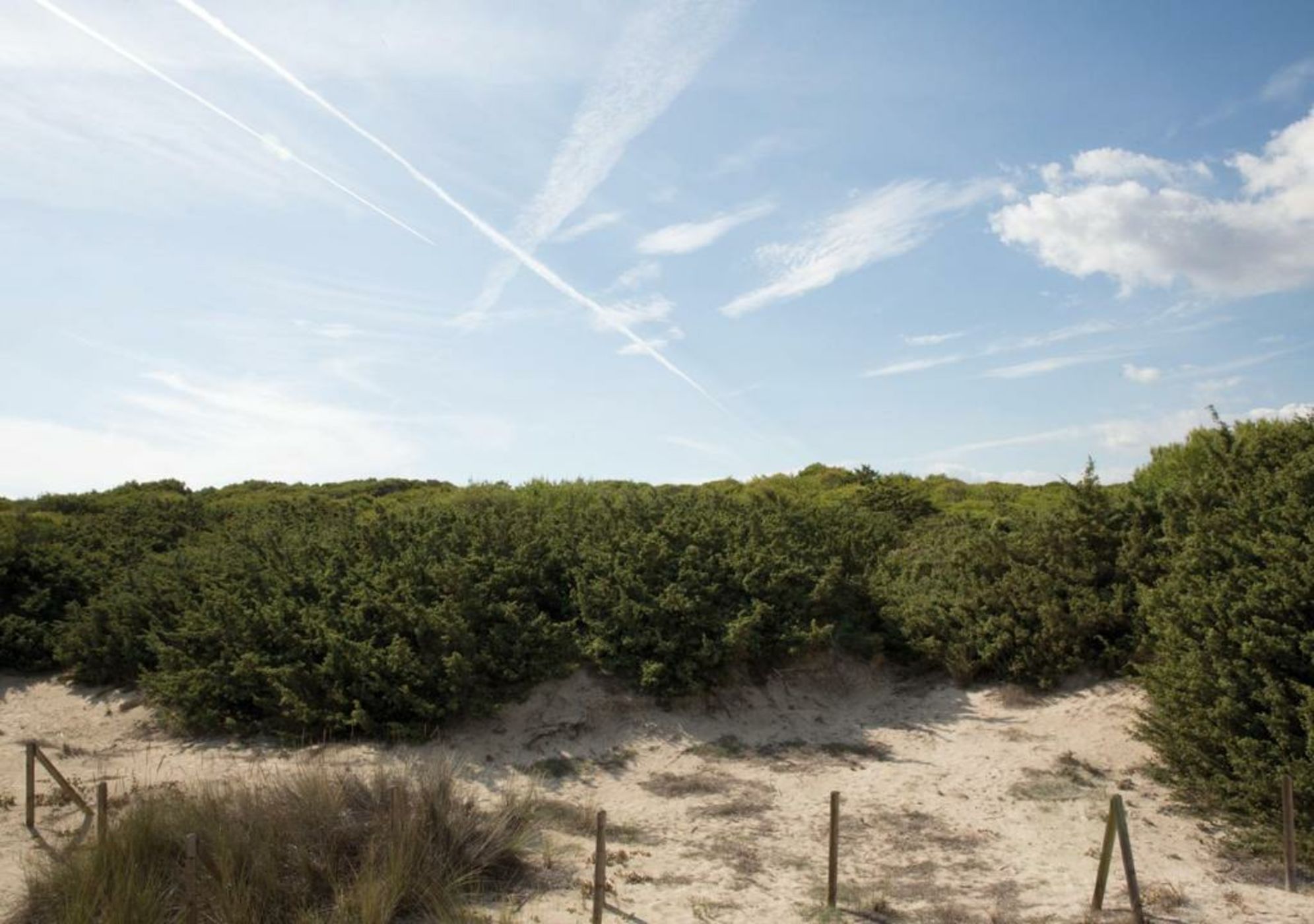 Moll Petit - Turismo de Interior