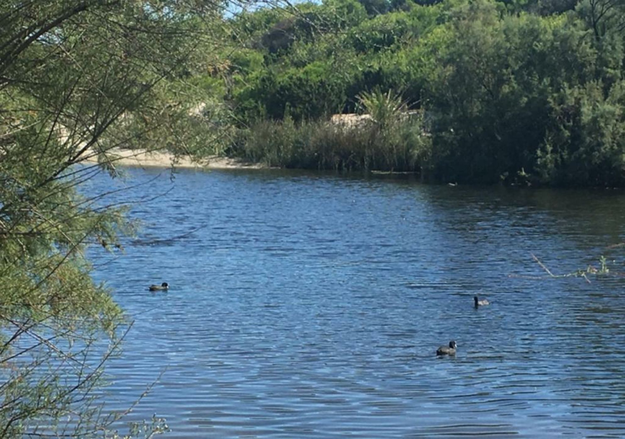 Moll Petit - Turismo de Interior