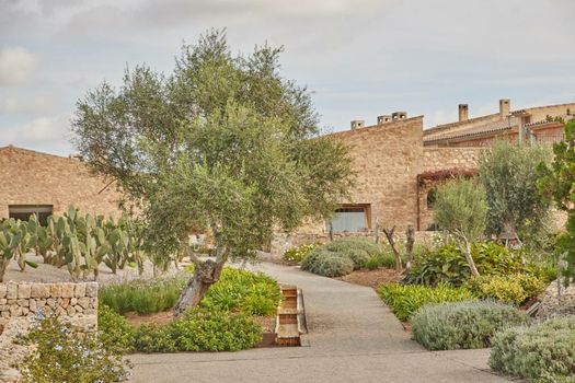 Finca Sestelrica