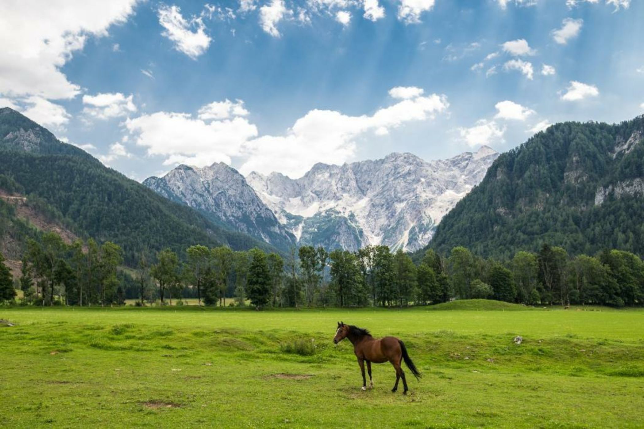 Boutique hotel Vila Planinka