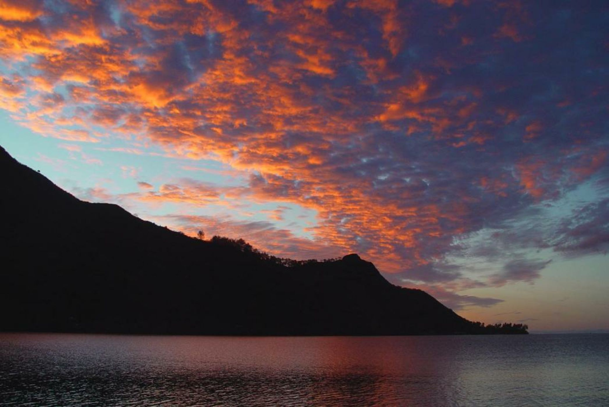 Robinson's Cove Villas - Deluxe Cook Villa