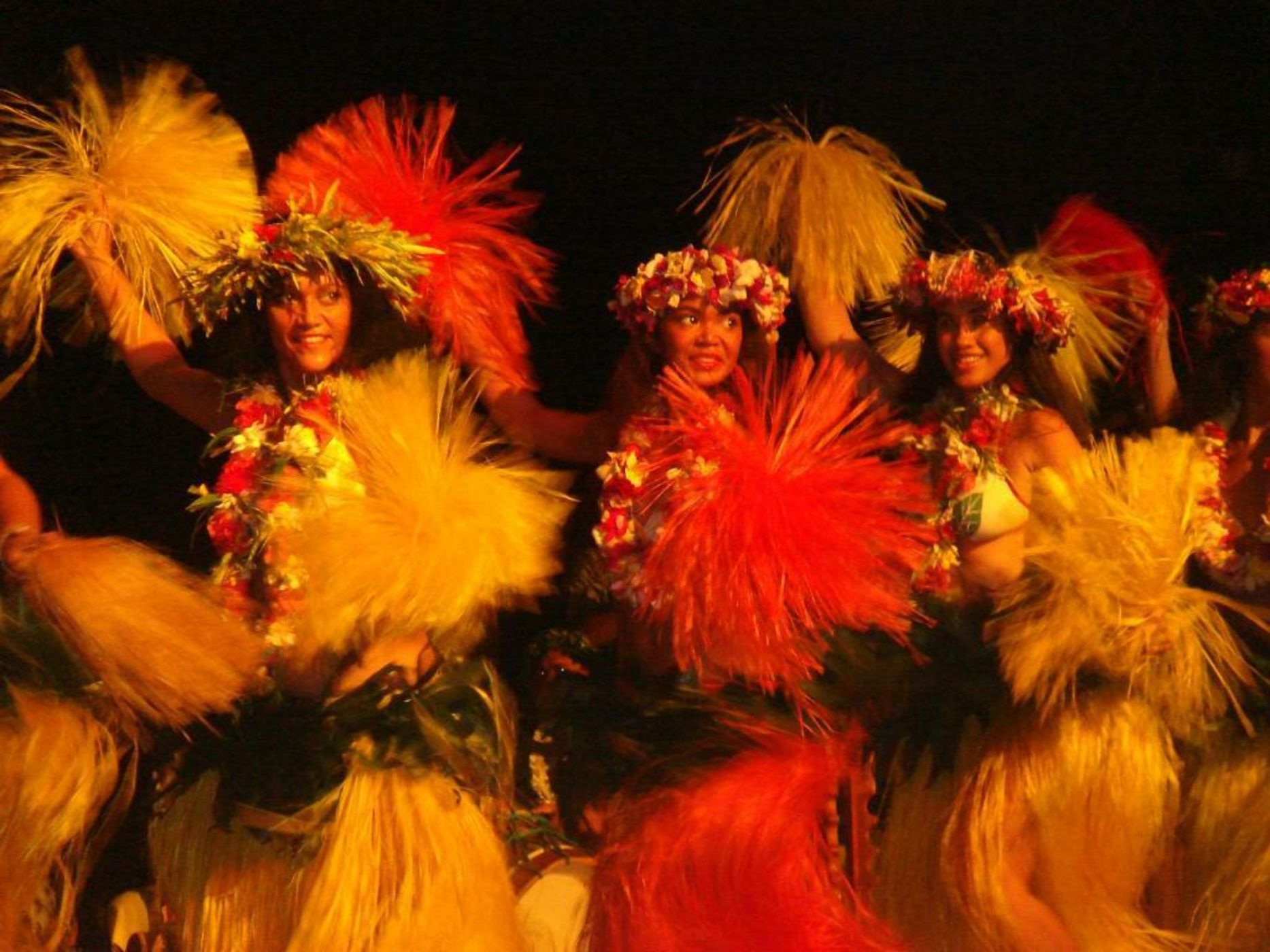 Robinson's Cove Villas - Deluxe Cook Villa