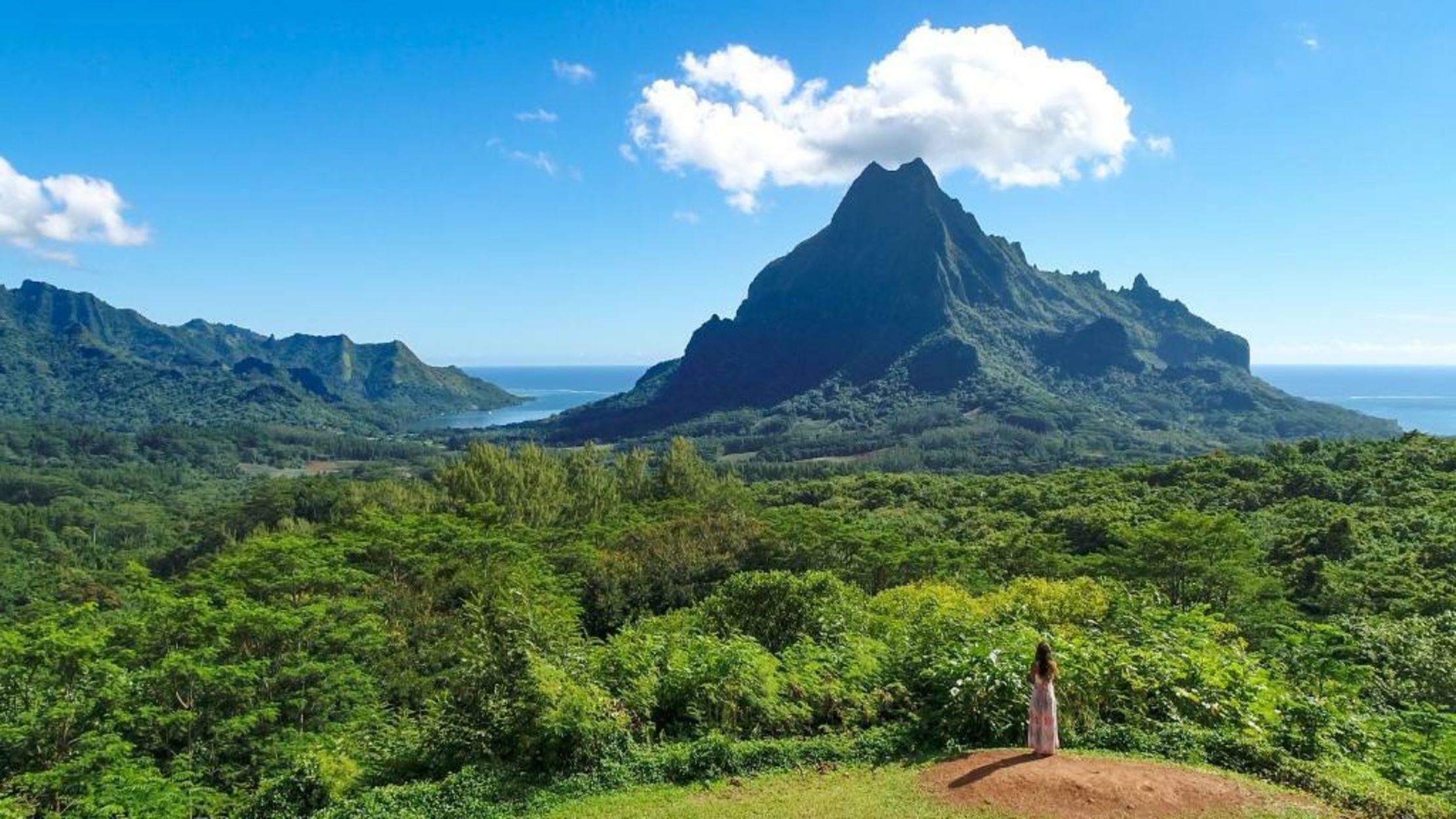 Robinson's Cove Villas - Deluxe Cook Villa