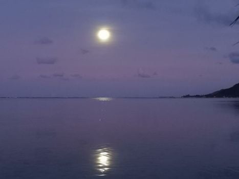 Lagoon Dream