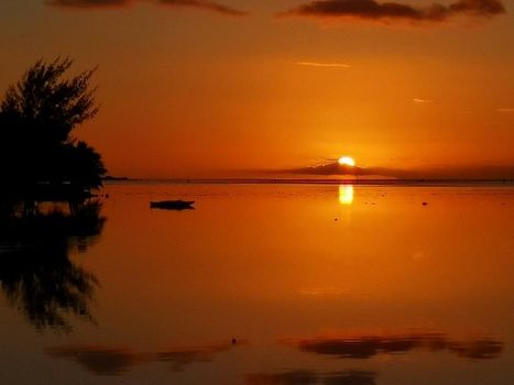 Lagoon Dream