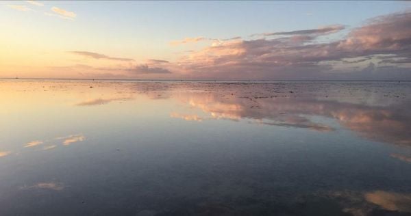 Lagoon Dream