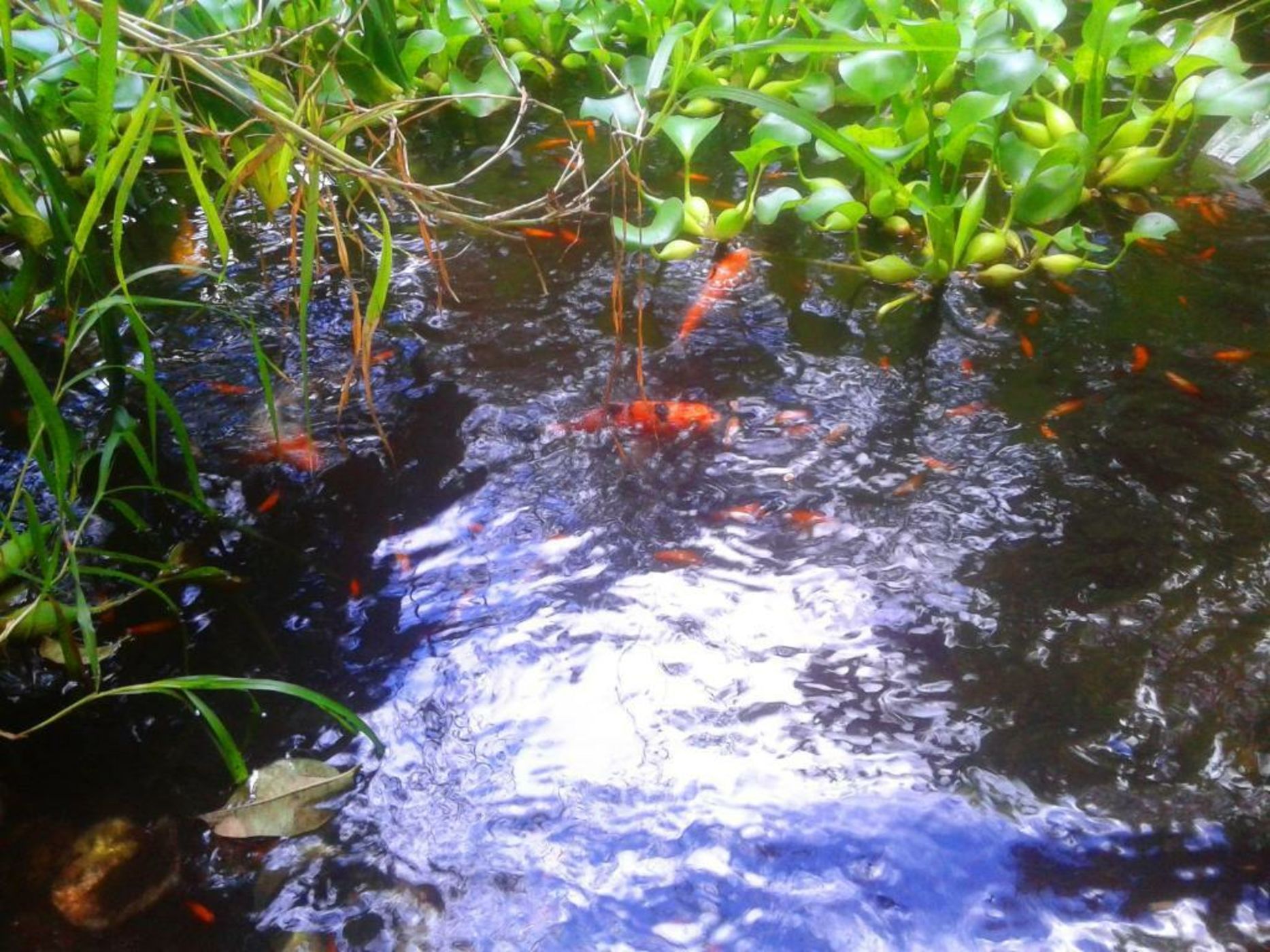 Hôtel Fenua Mata'i'oa