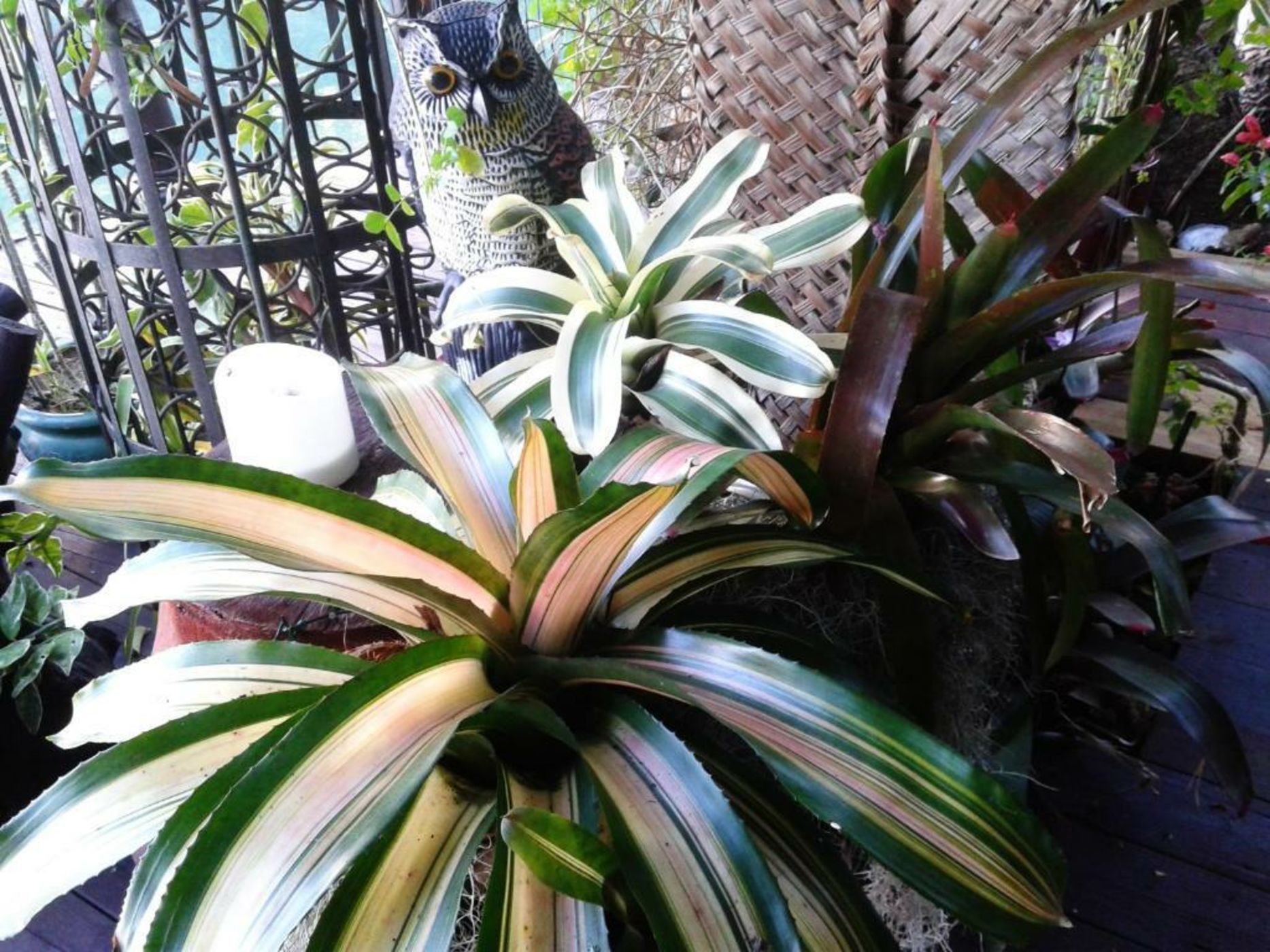 Hôtel Fenua Mata'i'oa