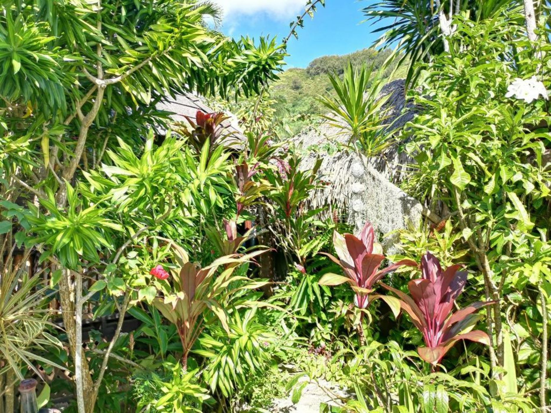 Hôtel Fenua Mata'i'oa