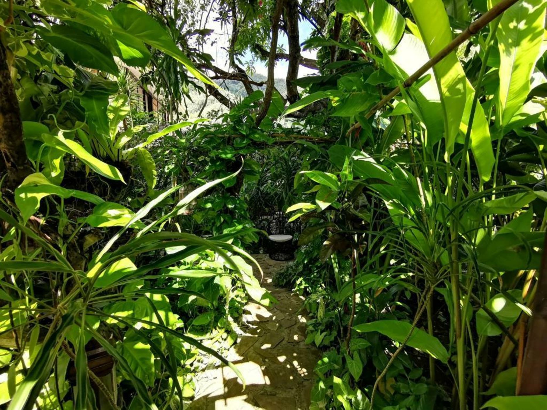 Hôtel Fenua Mata'i'oa