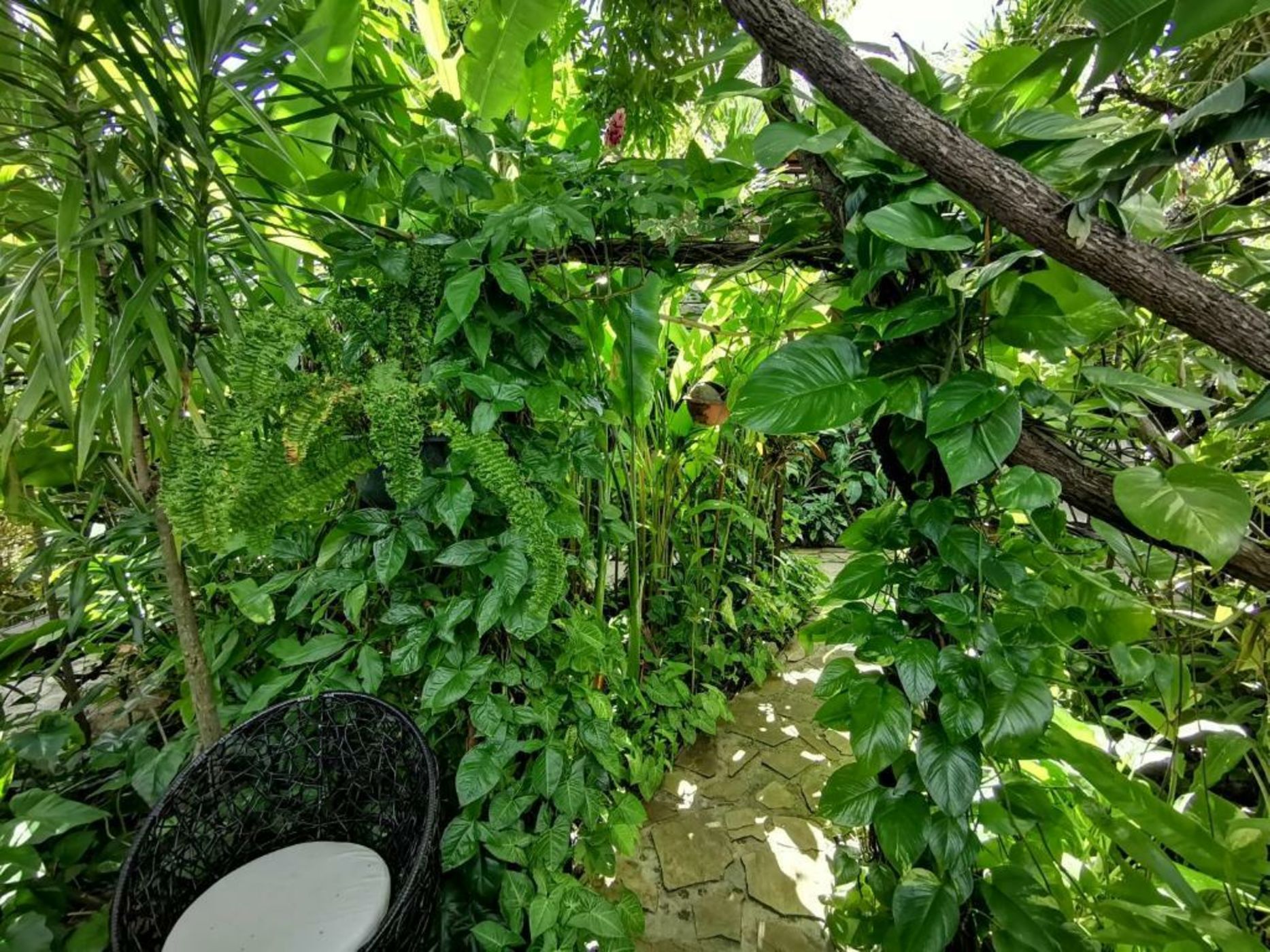 Hôtel Fenua Mata'i'oa