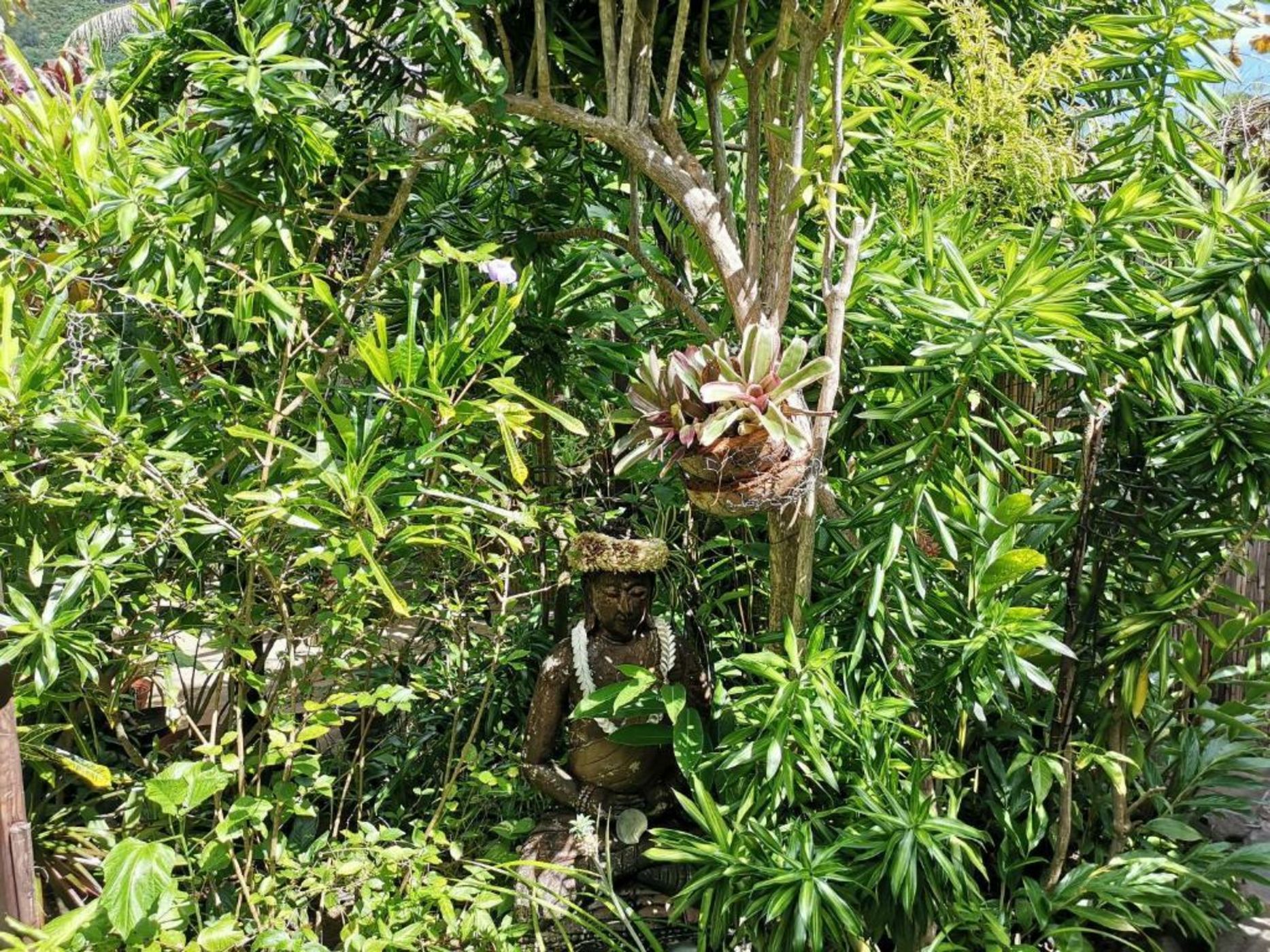 Hôtel Fenua Mata'i'oa