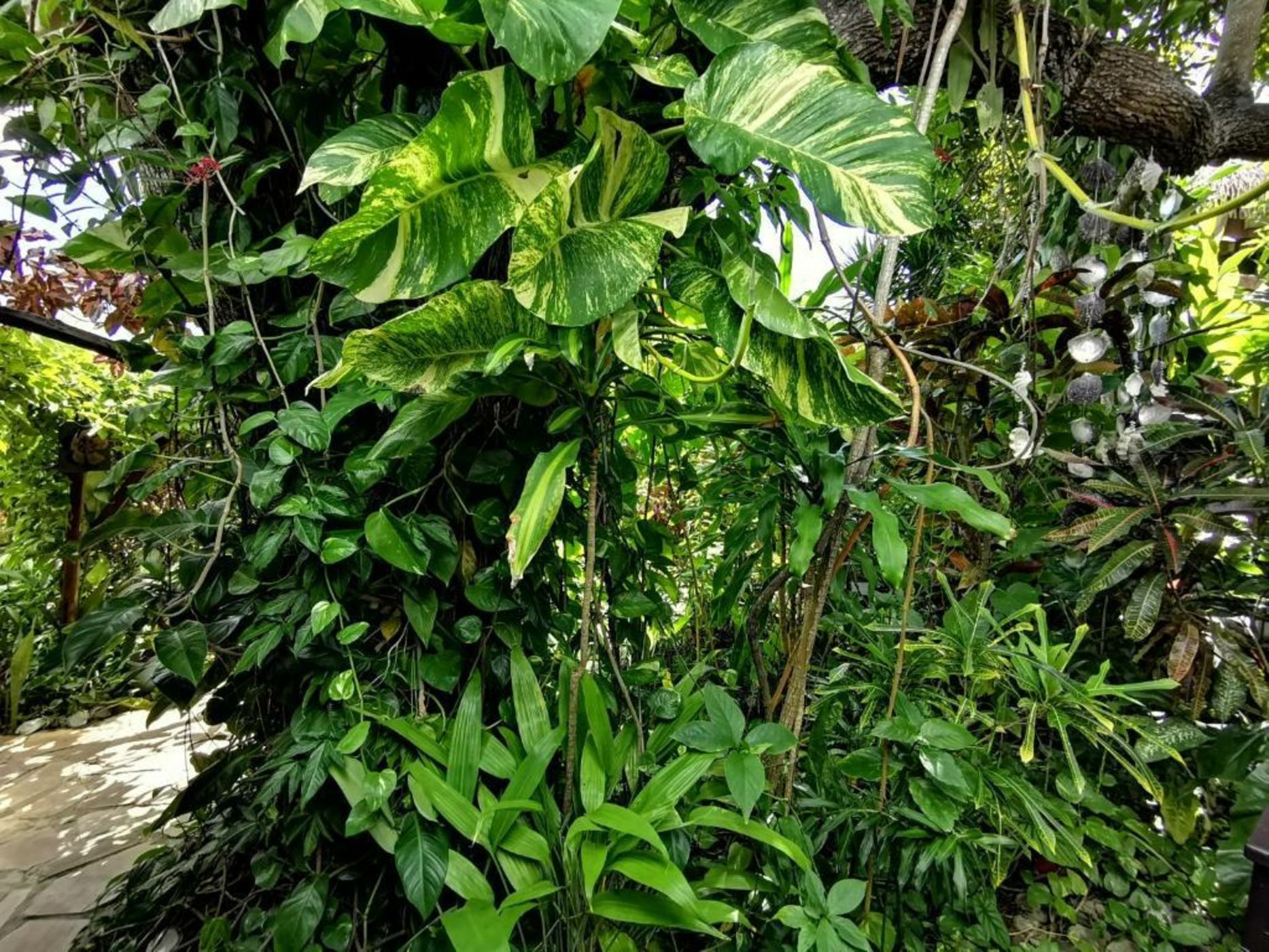 Hôtel Fenua Mata'i'oa