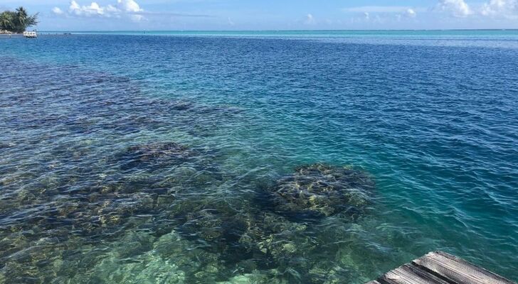 Chez Jay Moorea Beach House