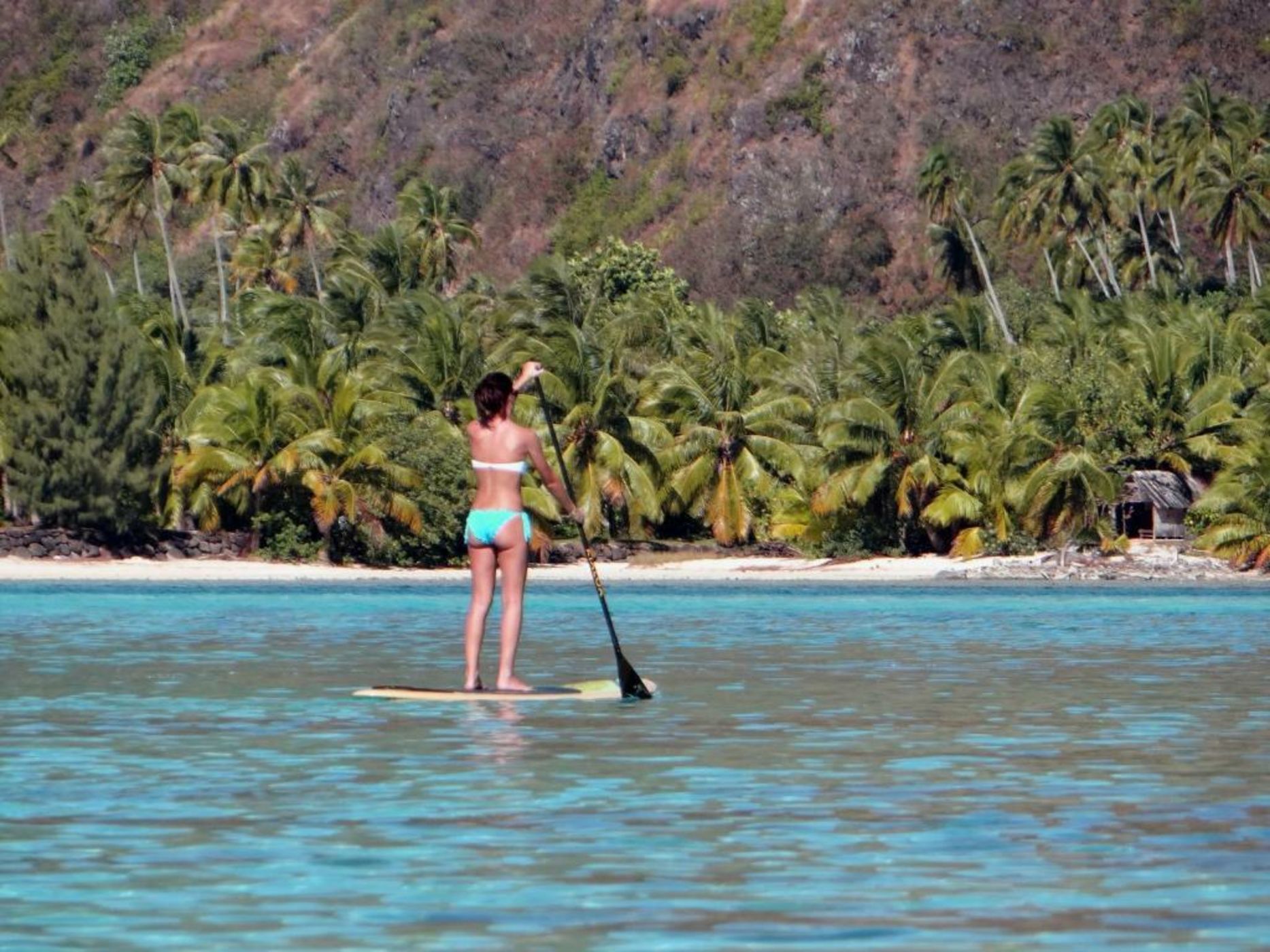 Robinson's Cove Villas - Deluxe Wallis Villa