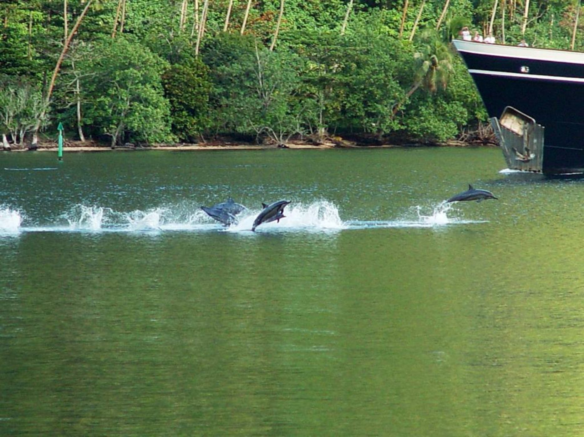 Robinson's Cove Villas - Deluxe Wallis Villa