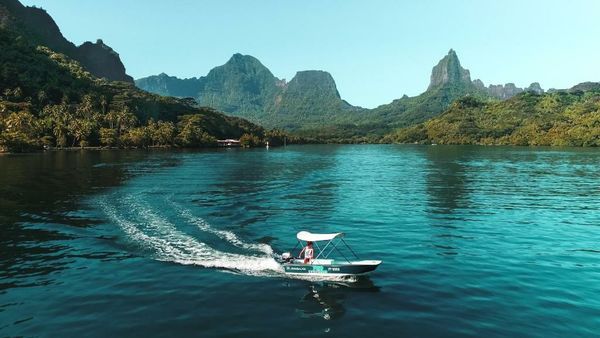 Robinson's Cove Villas - Deluxe Wallis Villa