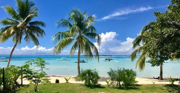 Moorea Sunset Beach