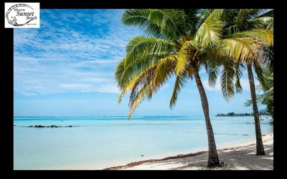 Moorea Sunset Beach