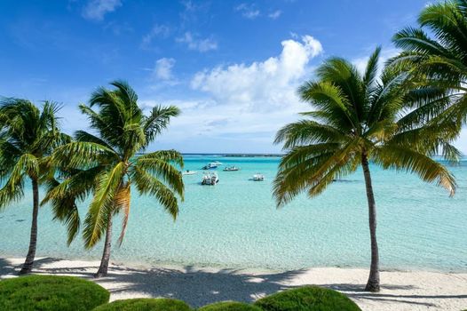 Moorea Sunset Beach
