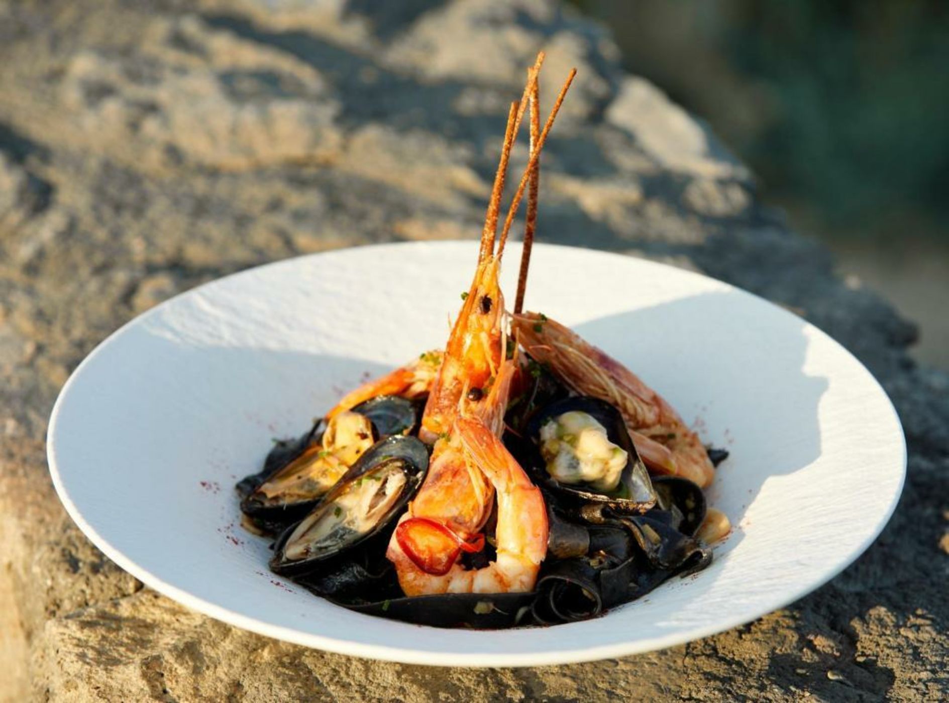 White Pearl Cavalieri