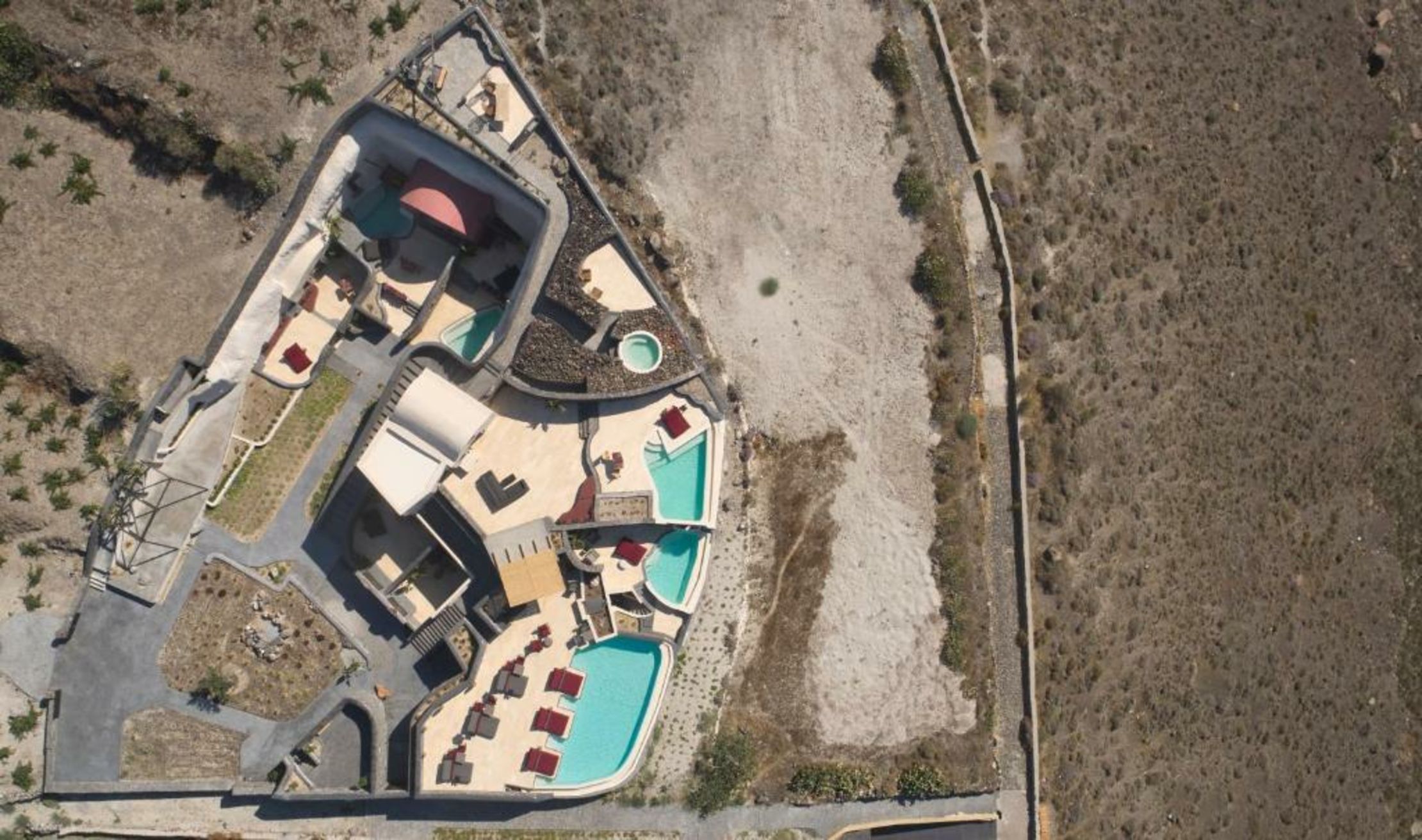 White Pearl Cavalieri