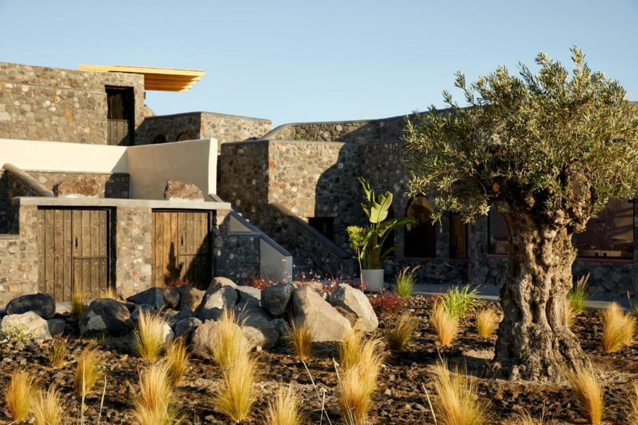 White Pearl Cavalieri