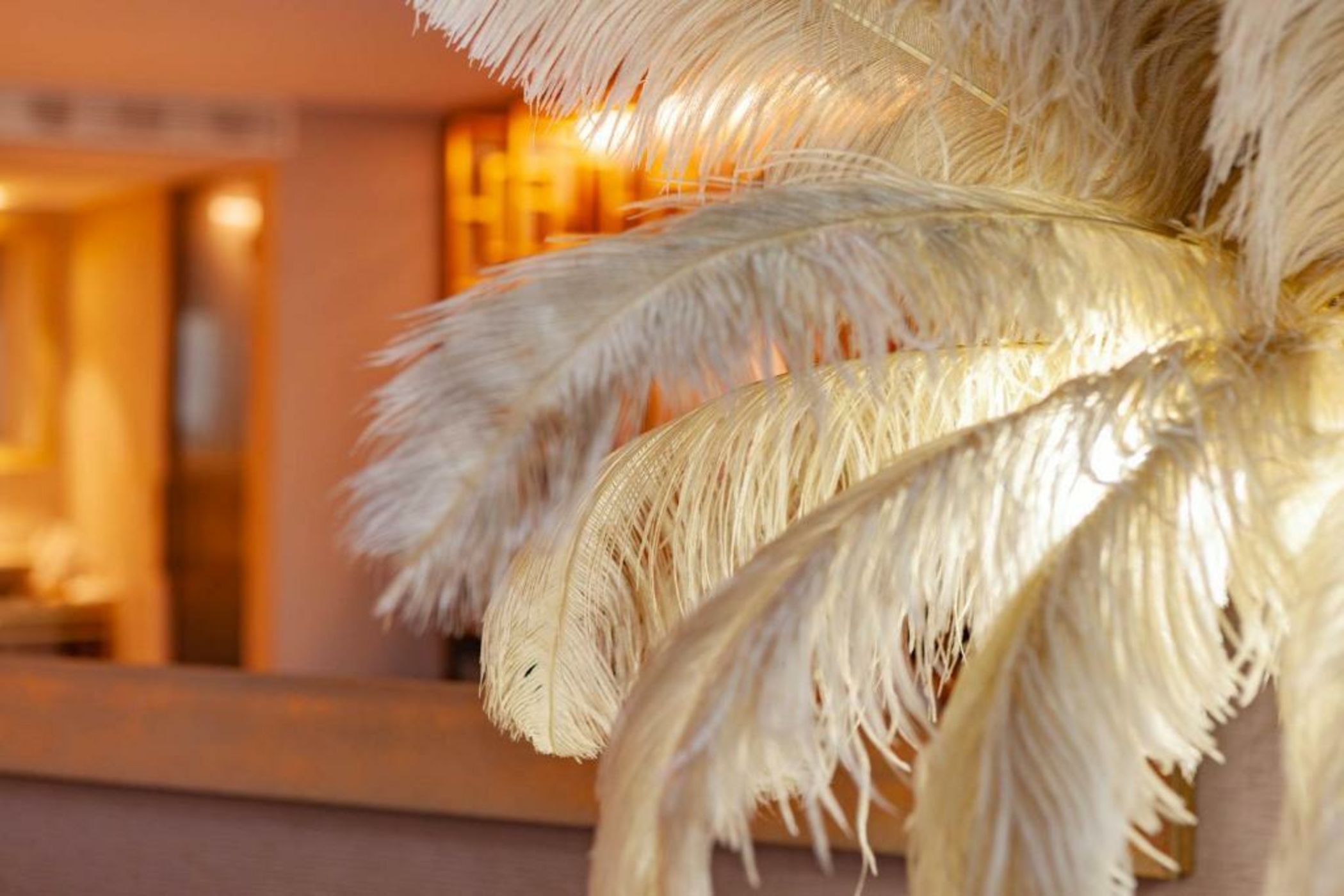 Wine & Books Lisboa Hotel