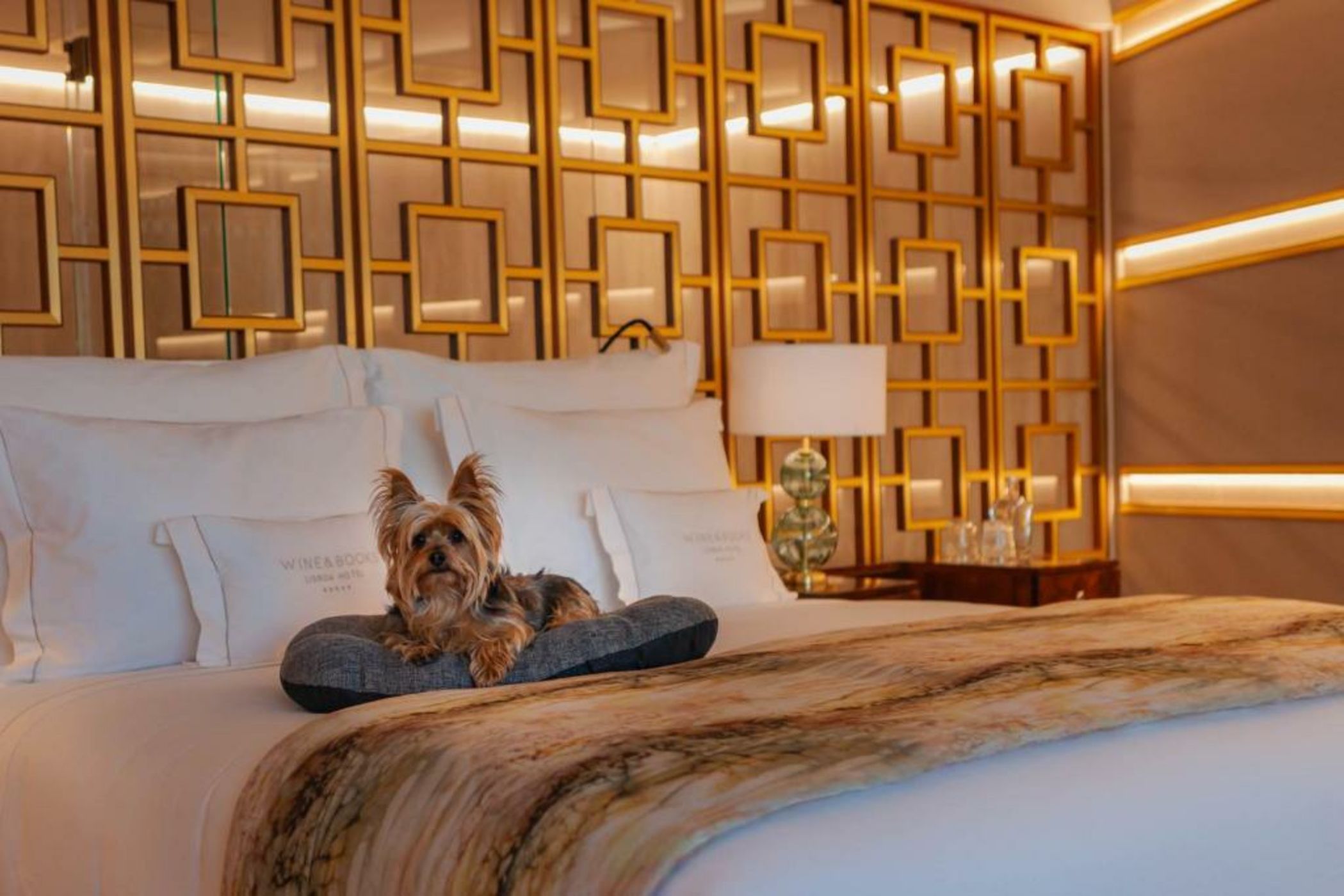 Wine & Books Lisboa Hotel