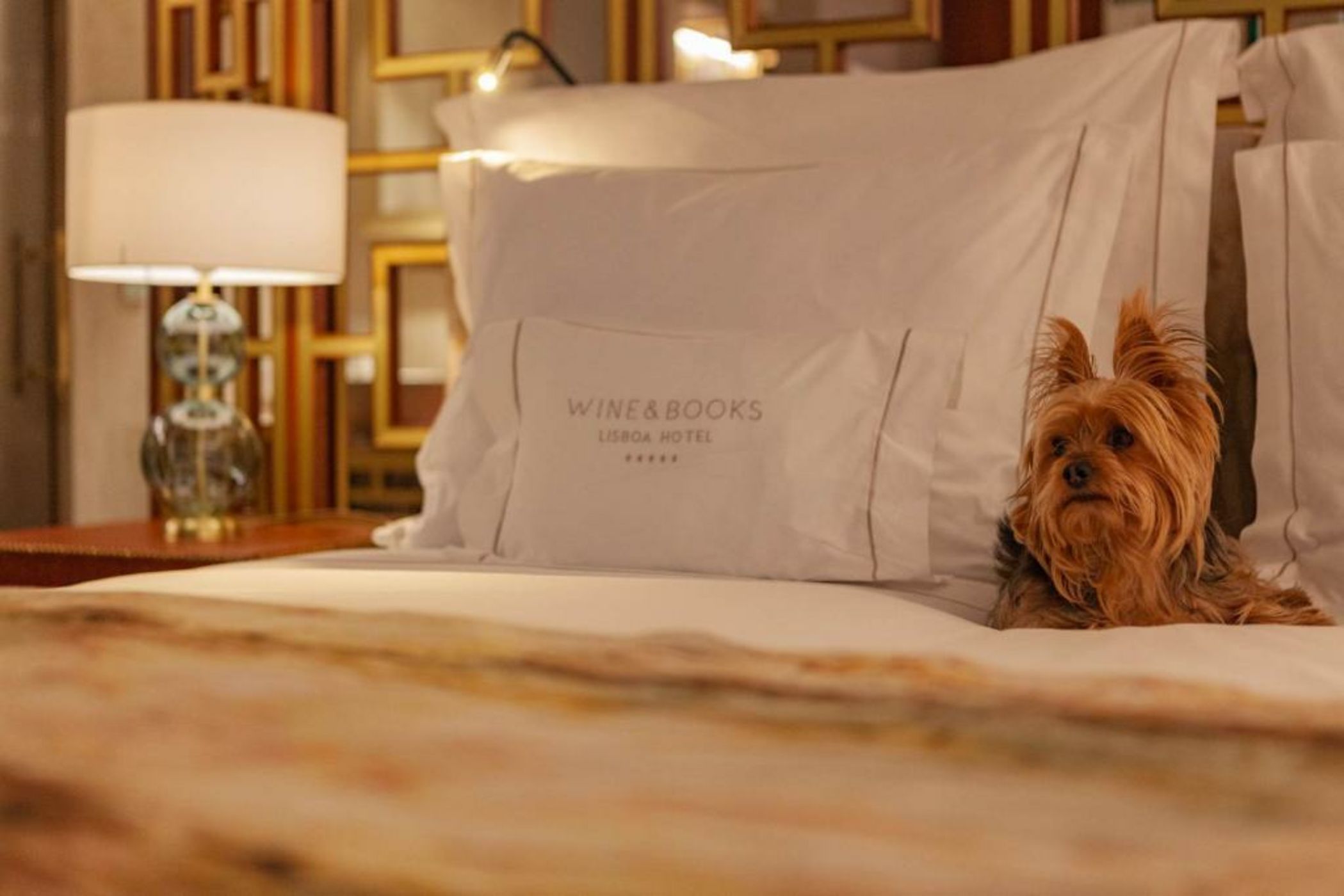 Wine & Books Lisboa Hotel