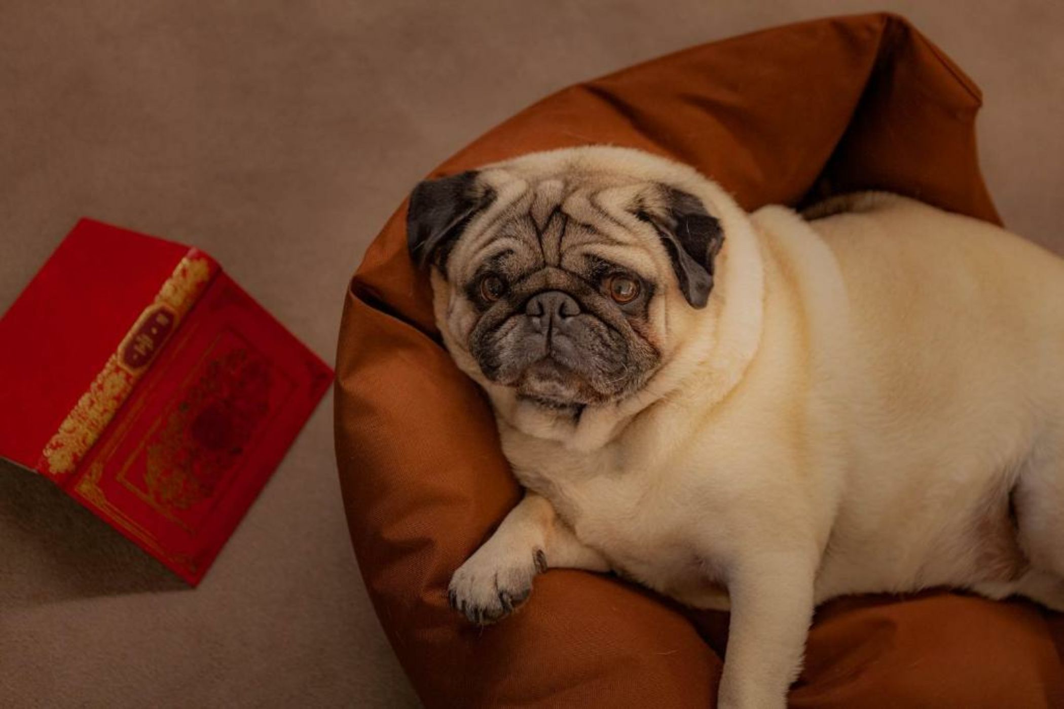 Wine & Books Lisboa Hotel