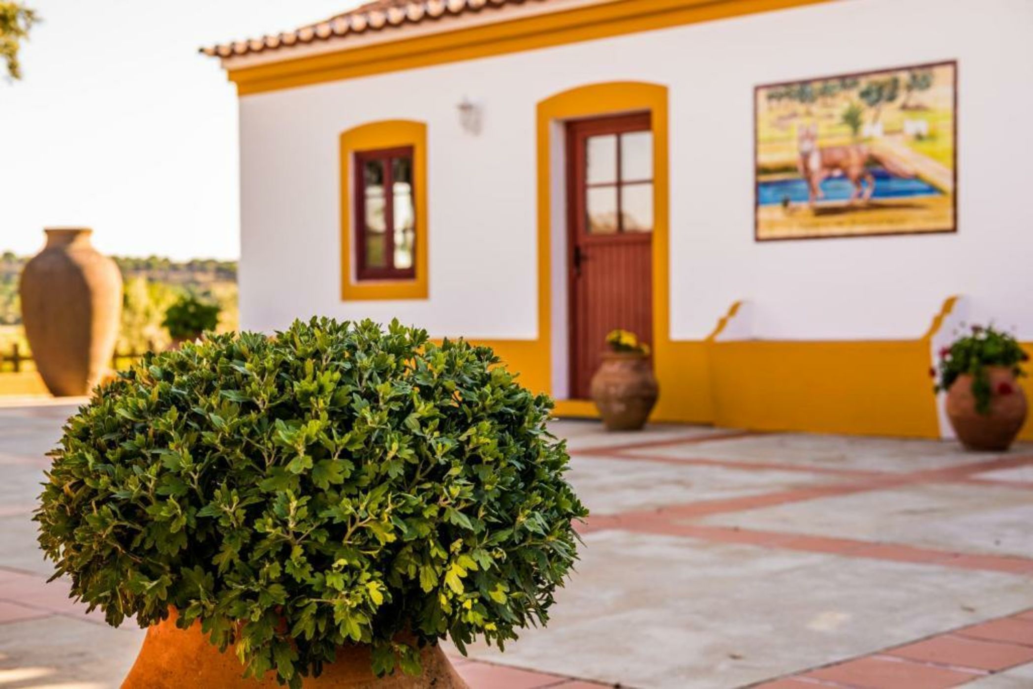 MONTE DA RAPOSINHA Enoturismo, Montargil