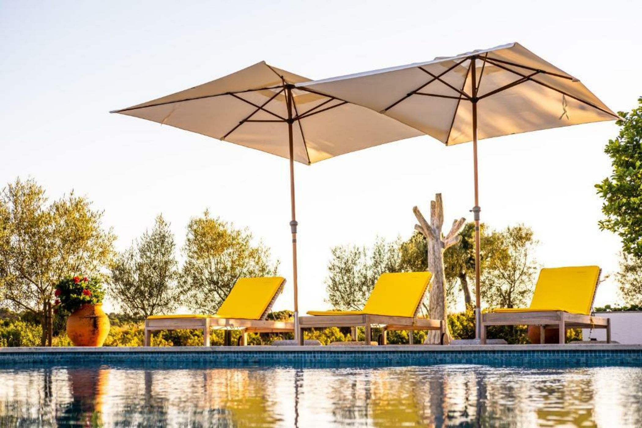 MONTE DA RAPOSINHA Enoturismo, Montargil