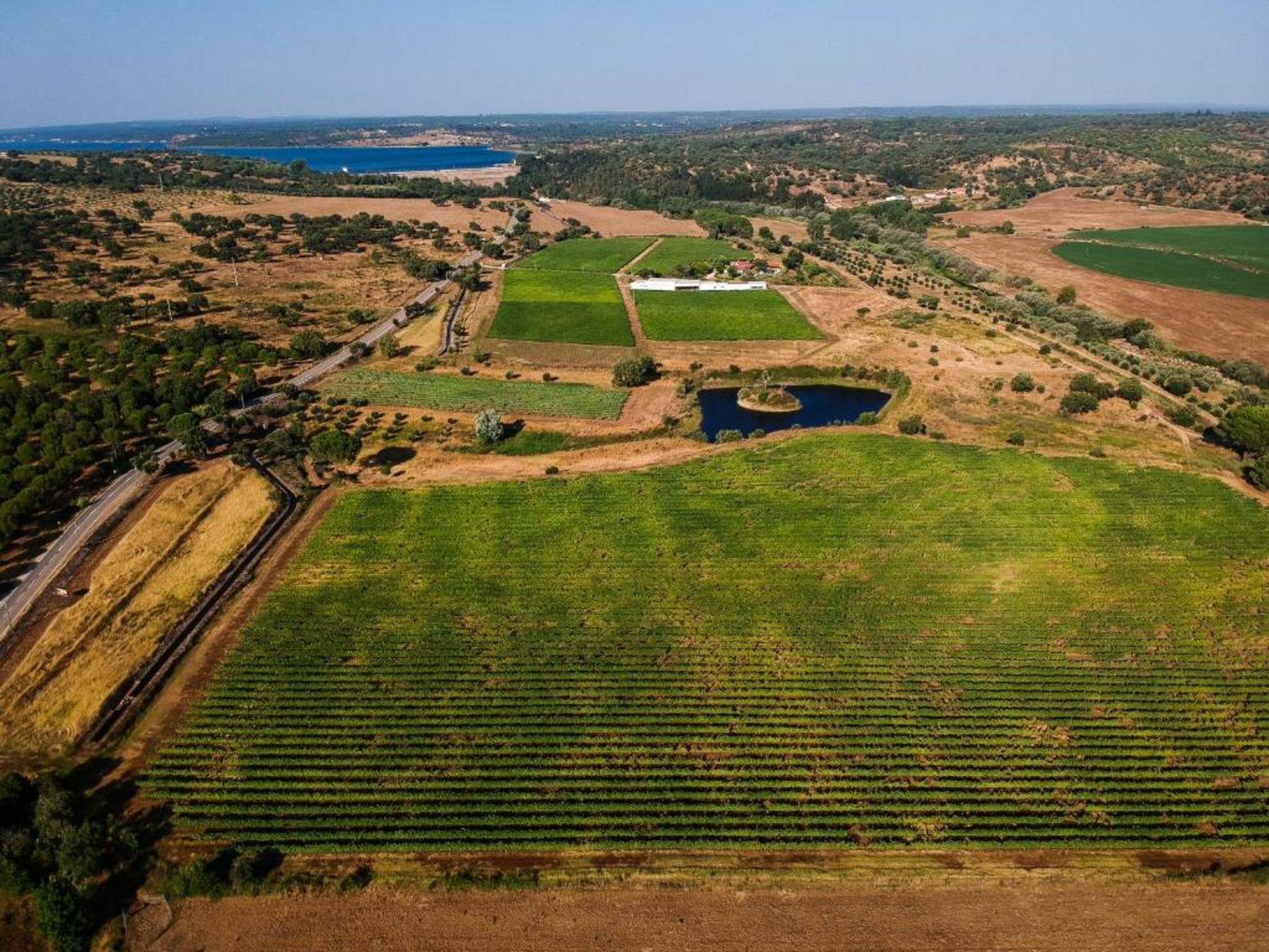 MONTE DA RAPOSINHA Enoturismo, Montargil