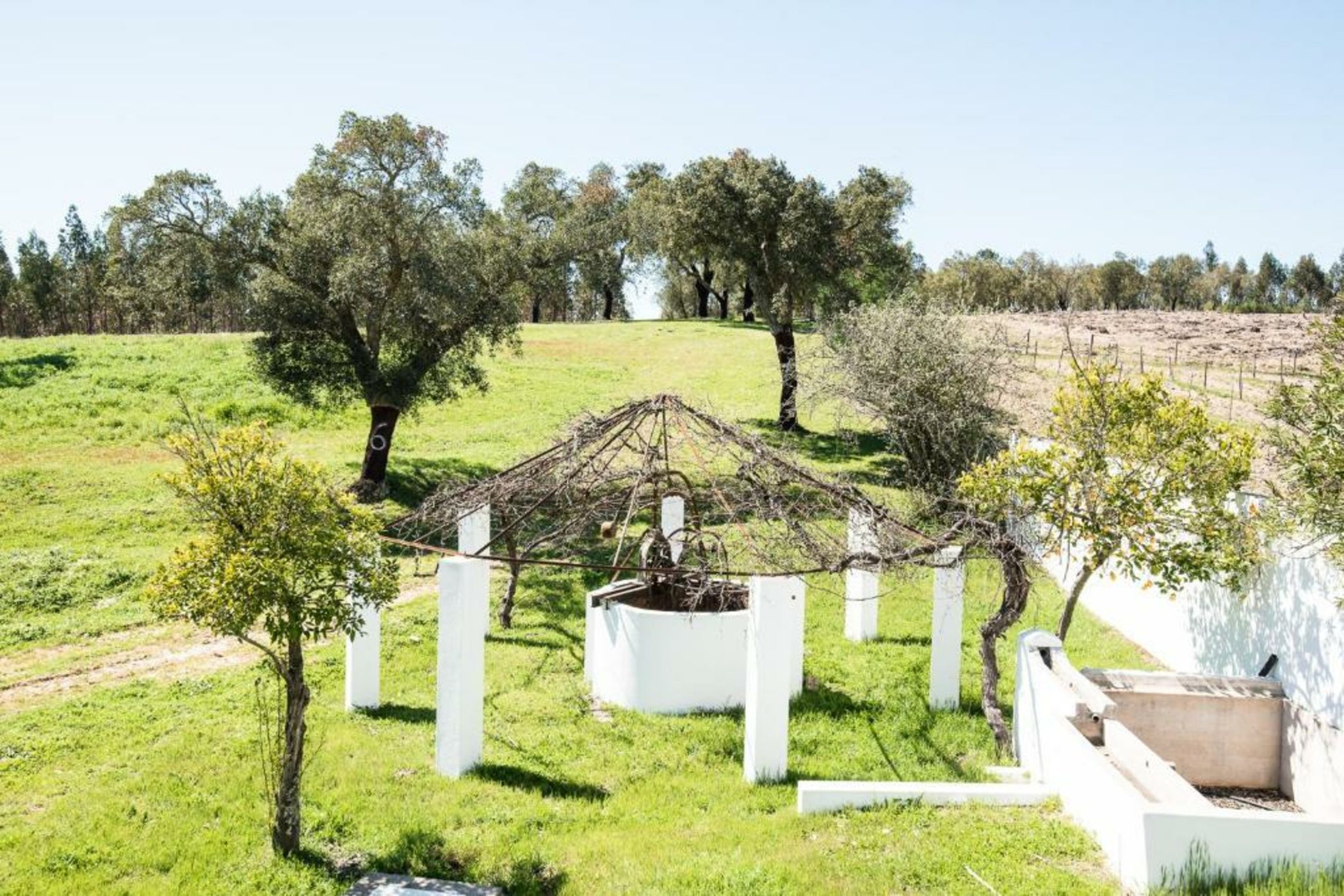 Monte das Texugueiras