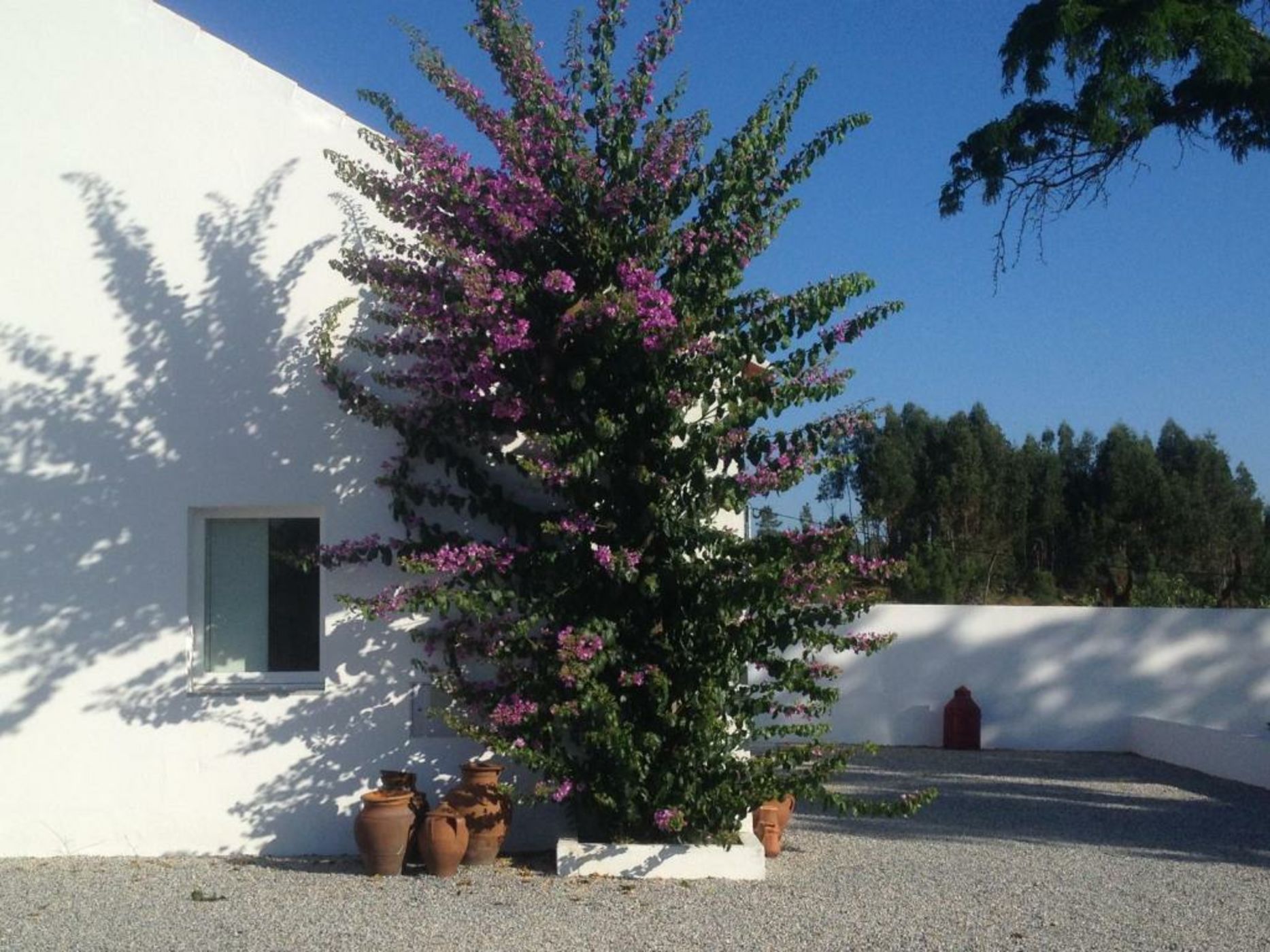 Monte das Texugueiras