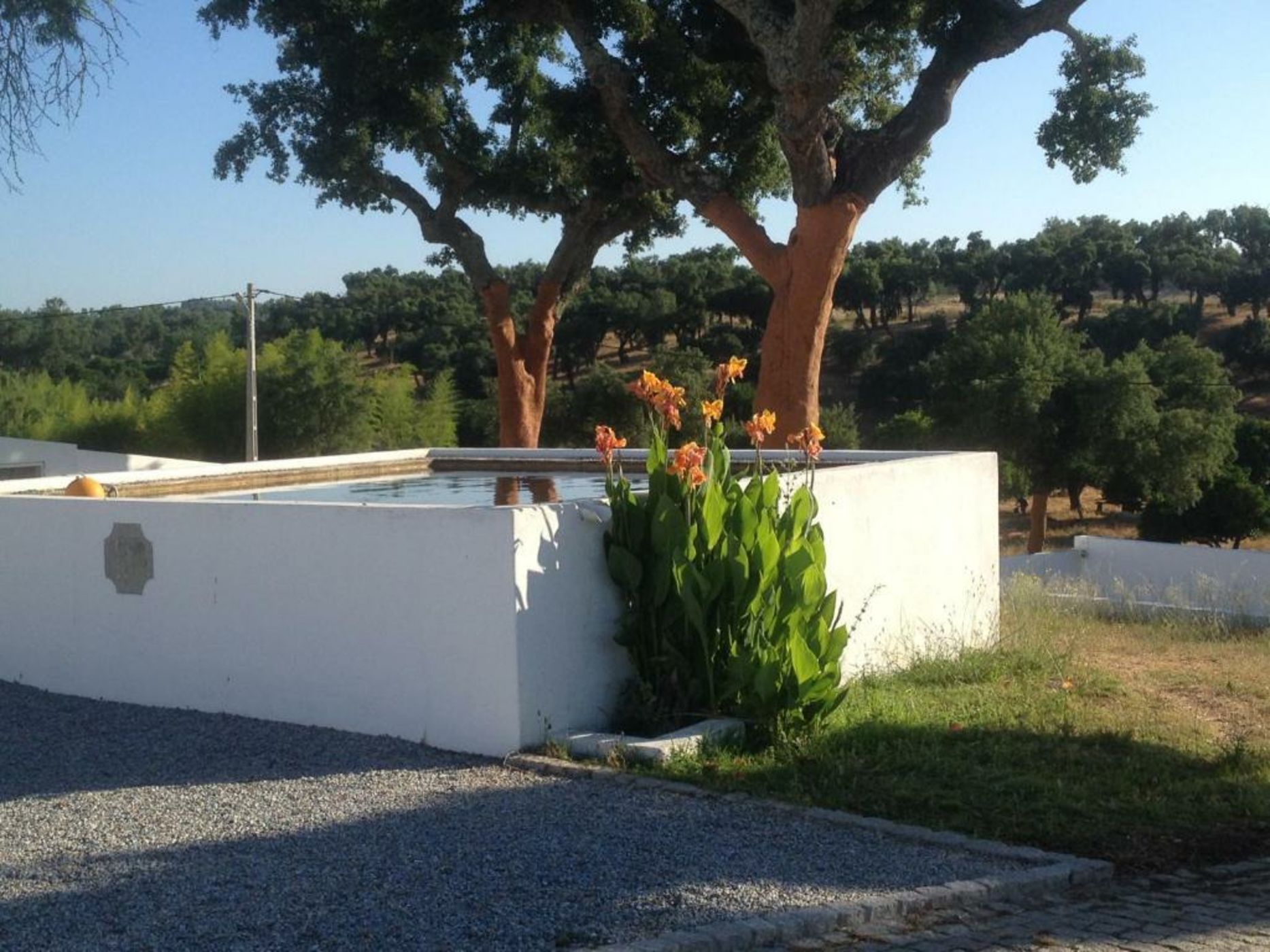 Monte das Texugueiras