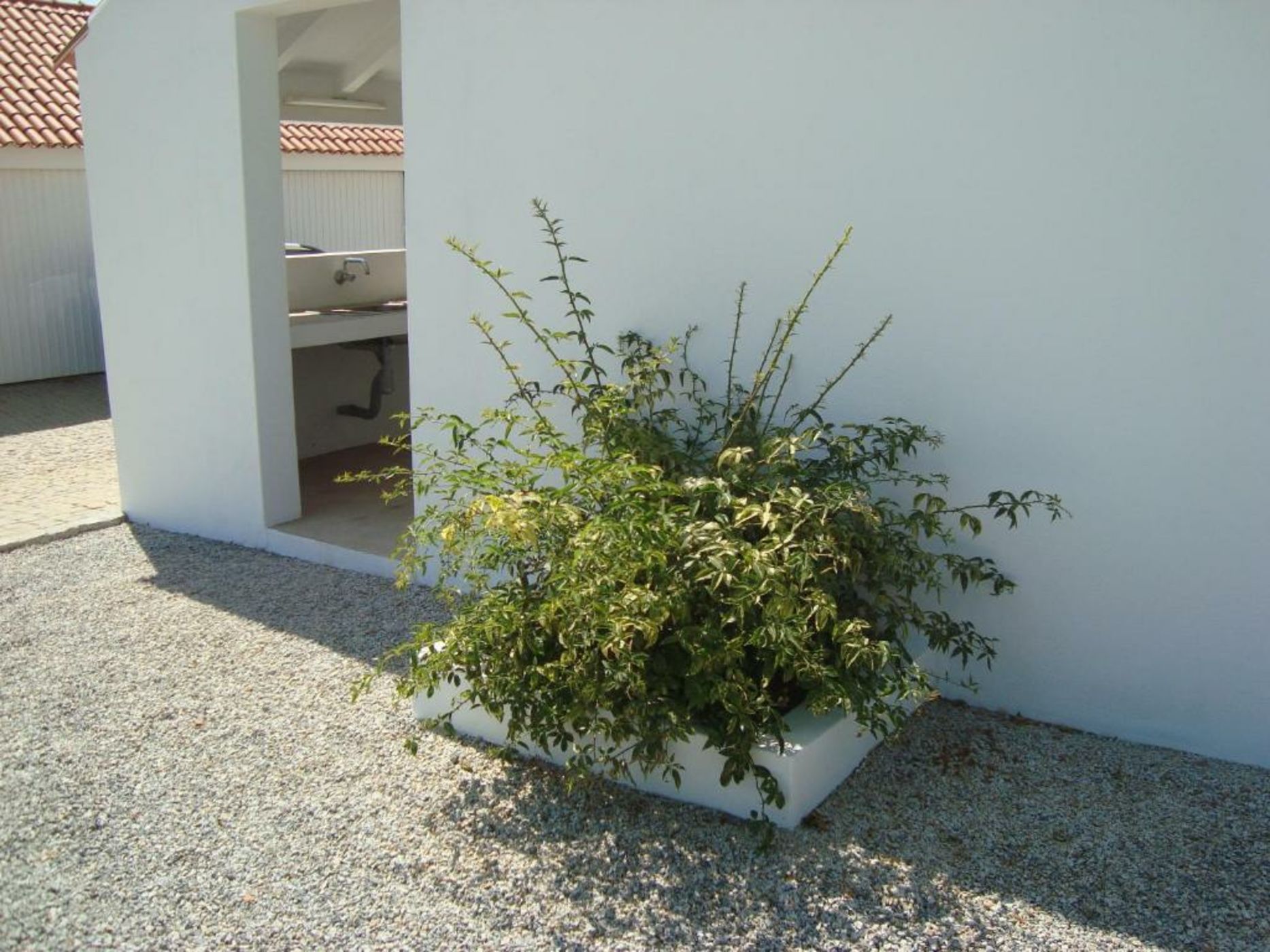 Monte das Texugueiras