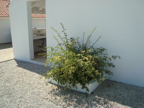 Monte das Texugueiras
